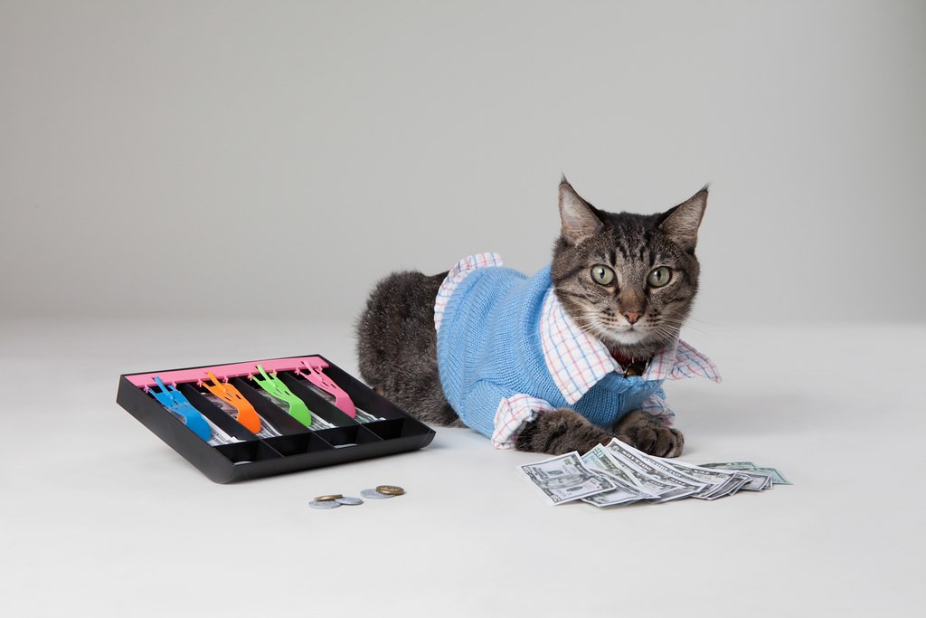 A tabby cat wearing a collared shirt and blue sweater sits behind a cash drawer and a pile of dollar bills